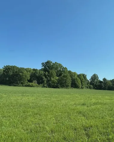 11517 Mt Carmel Road Decaturville TN 38329