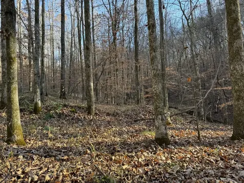 11517 Mt Carmel Road Decaturville TN 38329