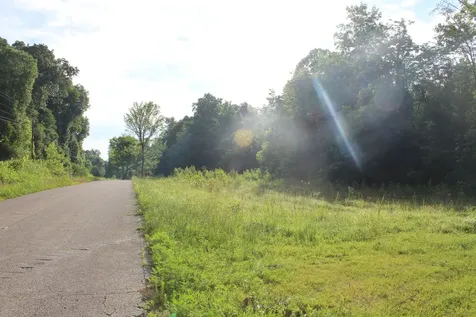 11517 Mt Carmel Road Decaturville TN 38329