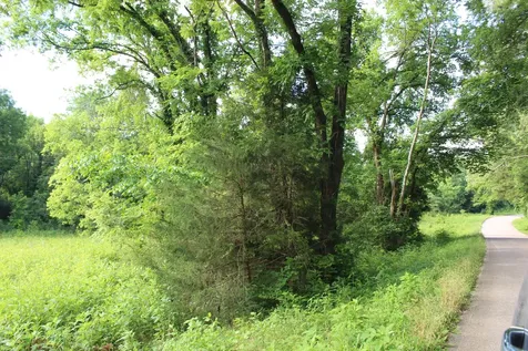 11517 Mt Carmel Road Decaturville TN 38329