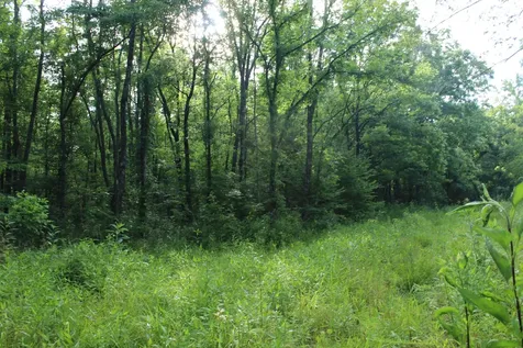 11517 Mt Carmel Road Decaturville TN 38329