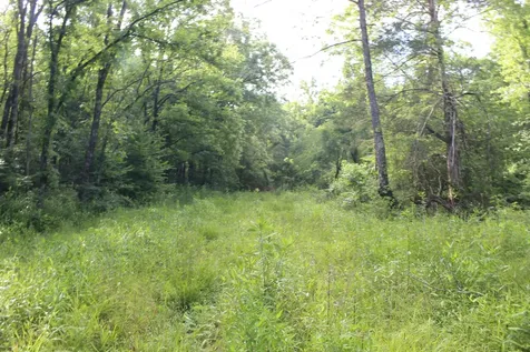 11517 Mt Carmel Road Decaturville TN 38329