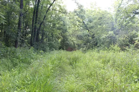 11517 Mt Carmel Road Decaturville TN 38329