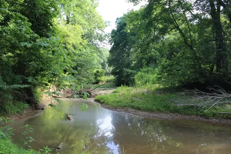 11517 Mt Carmel Road Decaturville TN 38329