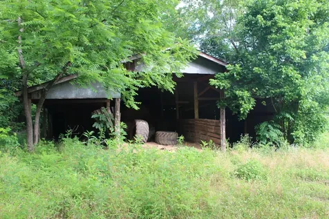 11517 Mt Carmel Road Decaturville TN 38329