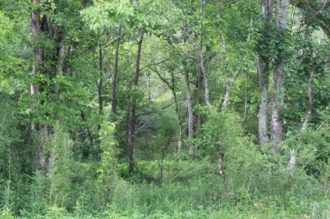 11517 Mt Carmel Road Decaturville TN 38329