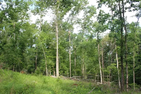 11517 Mt Carmel Road Decaturville TN 38329