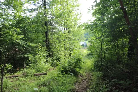 11517 Mt Carmel Road Decaturville TN 38329