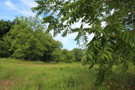 11517 Mt Carmel Road Decaturville TN 38329