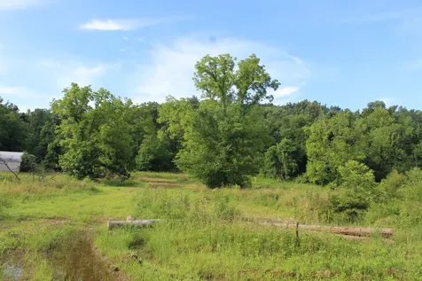 11517 Mt Carmel Road Decaturville TN 38329