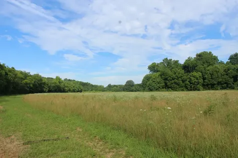 11517 Mt Carmel Road Decaturville TN 38329