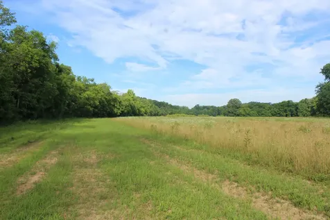 11517 Mt Carmel Road Decaturville TN 38329