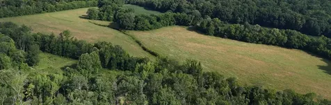 11517 Mt Carmel Road Decaturville TN 38329