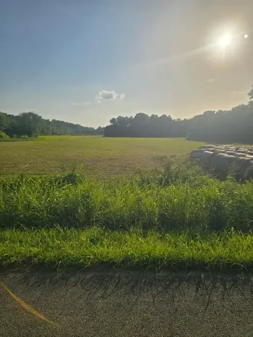 11517 Mt Carmel Road Decaturville TN 38329