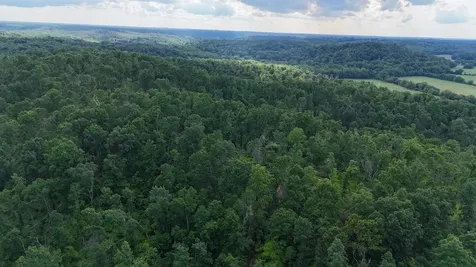 11517 Mt Carmel Road Decaturville TN 38329