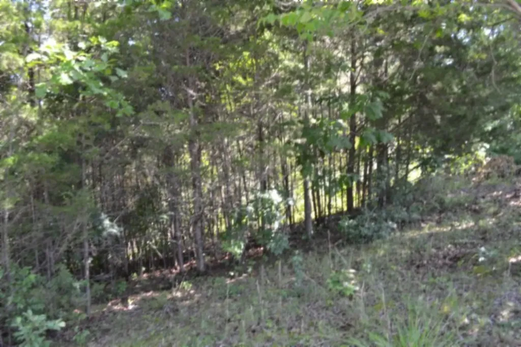 0 Beauchamp Road Burkesville KY 42717