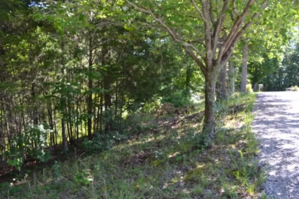 0 Beauchamp Road Burkesville KY 42717