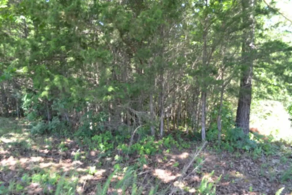 0 Beauchamp Road Burkesville KY 42717