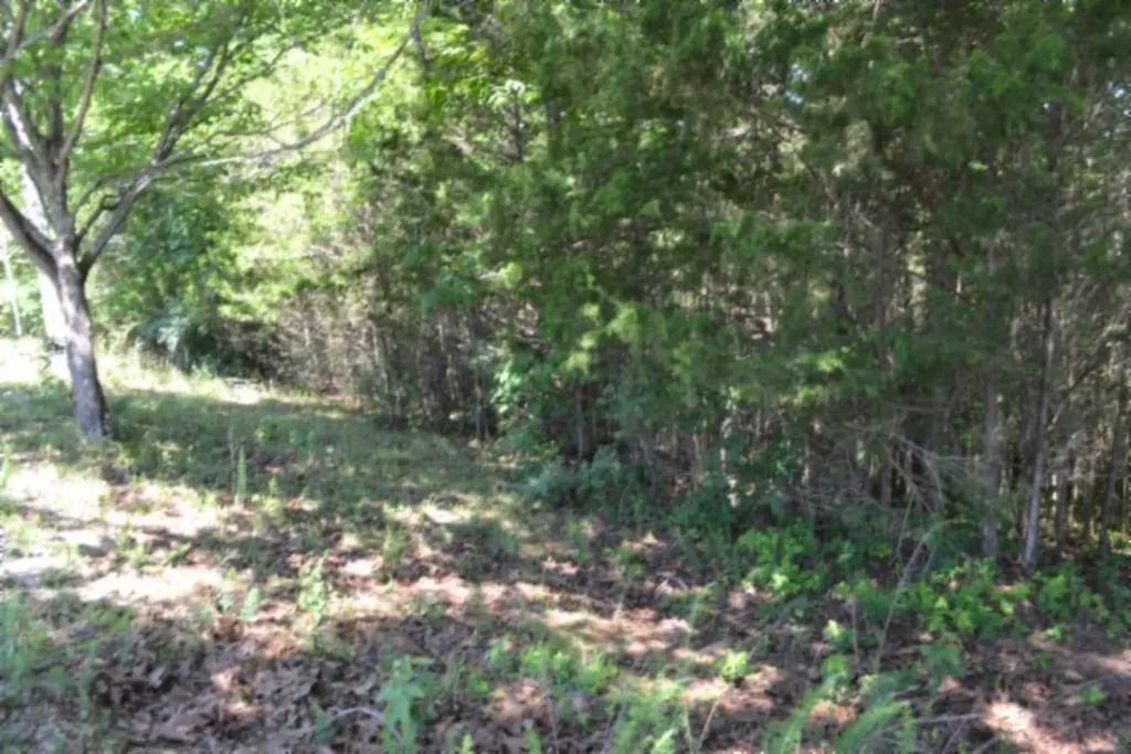 0 Beauchamp Road Burkesville KY 42717