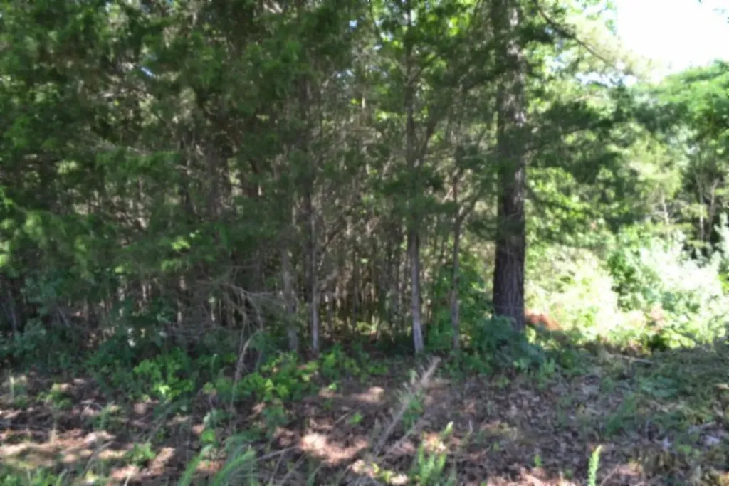 0 Beauchamp Road Burkesville KY 42717
