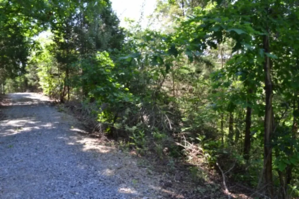 0 Beauchamp Road Burkesville KY 42717