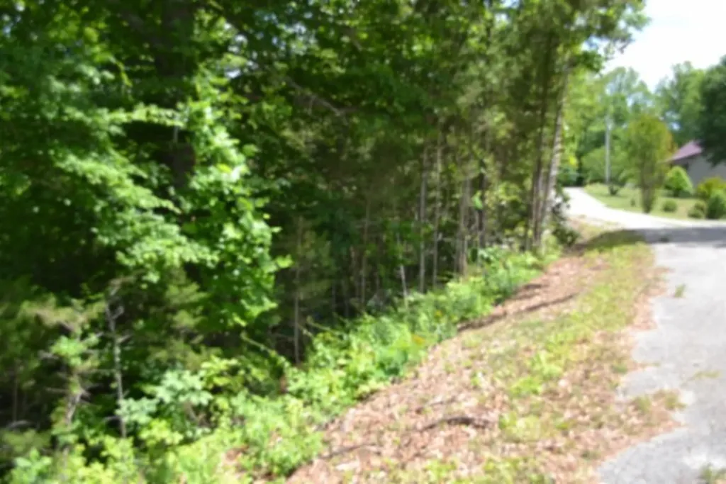 0 Beauchamp Road Burkesville KY 42717