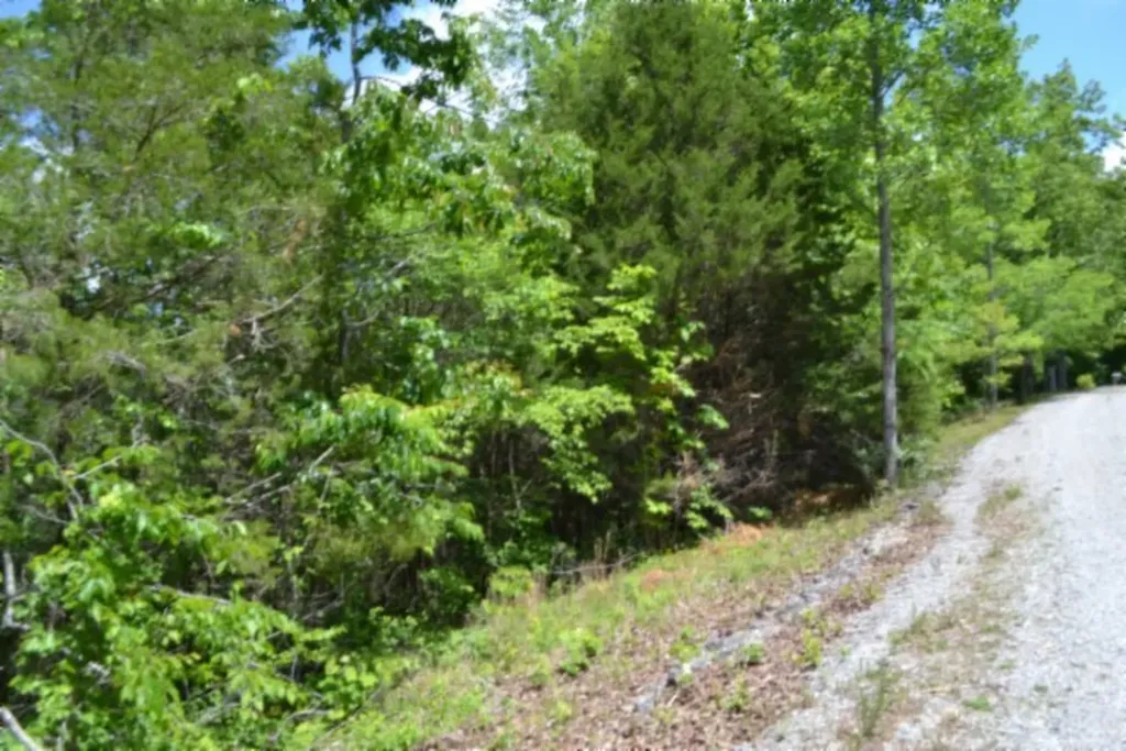 0 Beauchamp Road Burkesville KY 42717