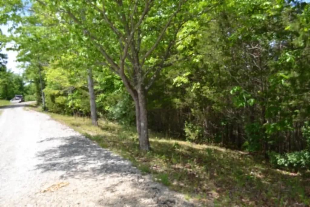 0 Beauchamp Road Burkesville KY 42717