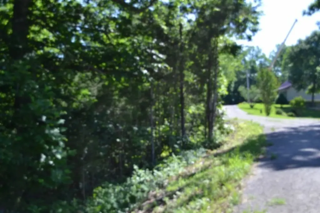 0 Beauchamp Road Burkesville KY 42717