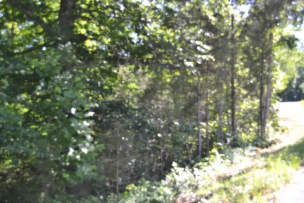 0 Beauchamp Road Burkesville KY 42717