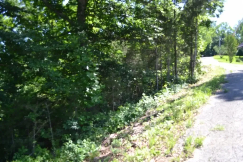 0 Beauchamp Road Burkesville KY 42717