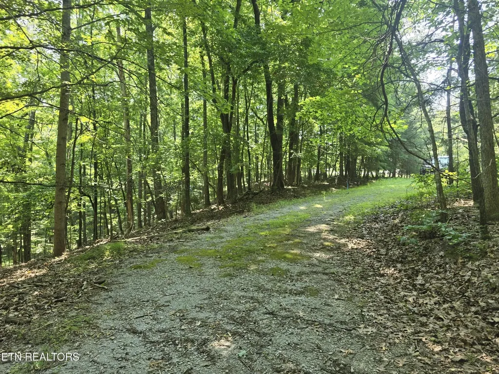 16 Trentwood Terrace Crossville TN 38558