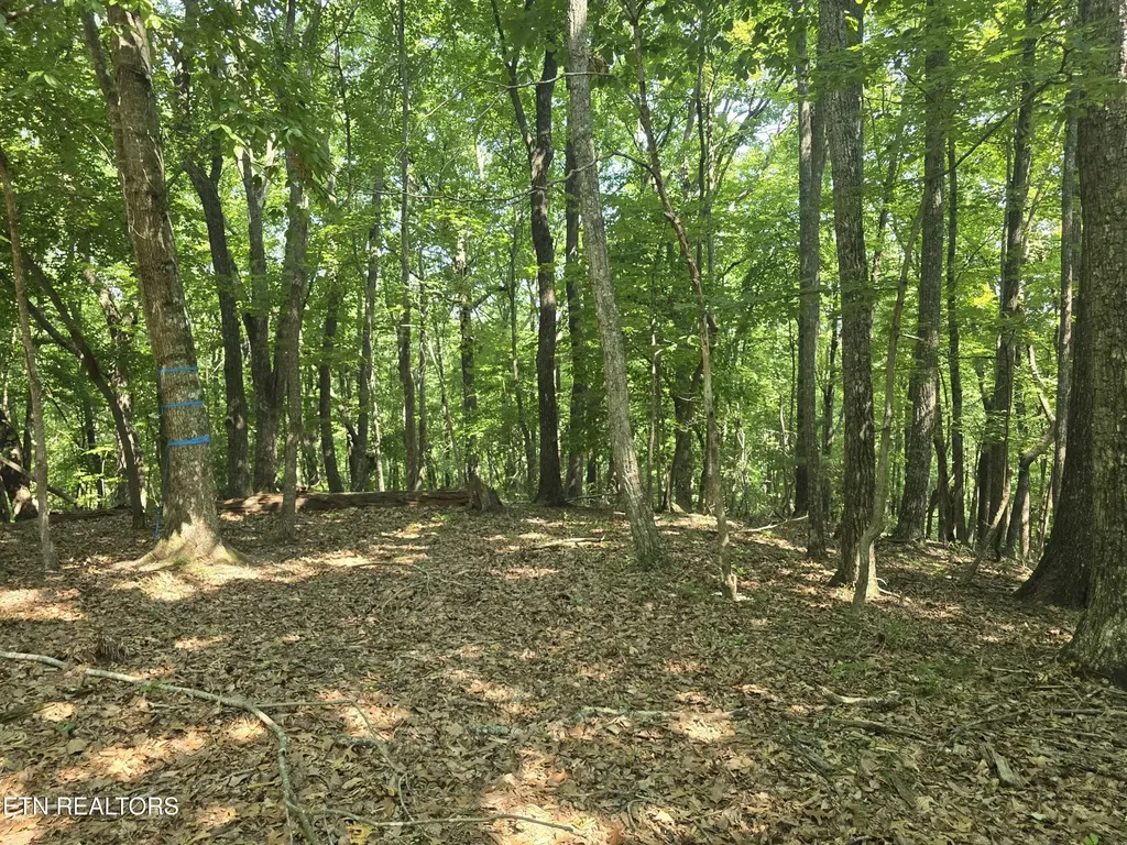 16 Trentwood Terrace Crossville TN 38558
