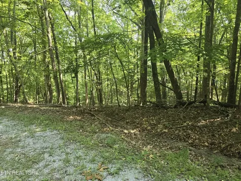 16 Trentwood Terrace Crossville TN 38558