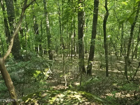 16 Trentwood Terrace Crossville TN 38558