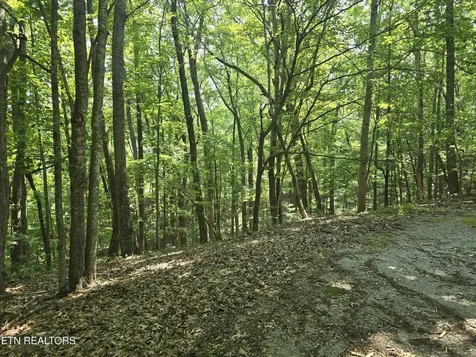 16 Trentwood Terrace Crossville TN 38558