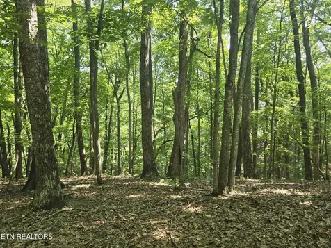 16 Trentwood Terrace Crossville TN 38558