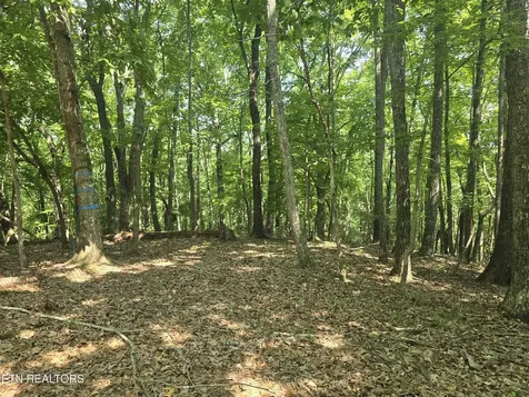 16 Trentwood Terrace Crossville TN 38558