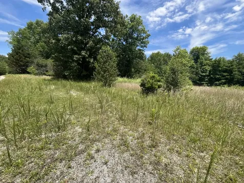 132 Lakewood Drive Beechgrove TN 37018