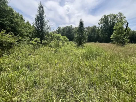 132 Lakewood Drive Beechgrove TN 37018