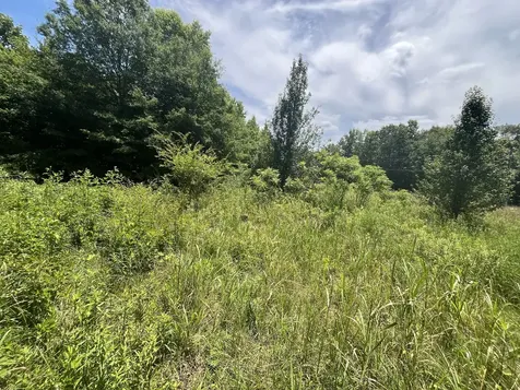 132 Lakewood Drive Beechgrove TN 37018