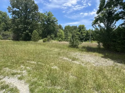 132 Lakewood Drive Beechgrove TN 37018