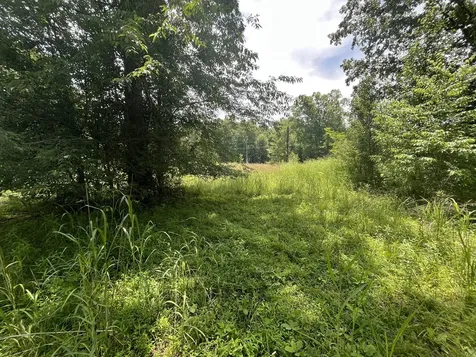 132 Lakewood Drive Beechgrove TN 37018