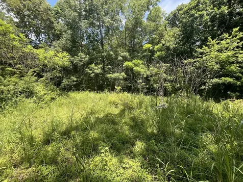 132 Lakewood Drive Beechgrove TN 37018
