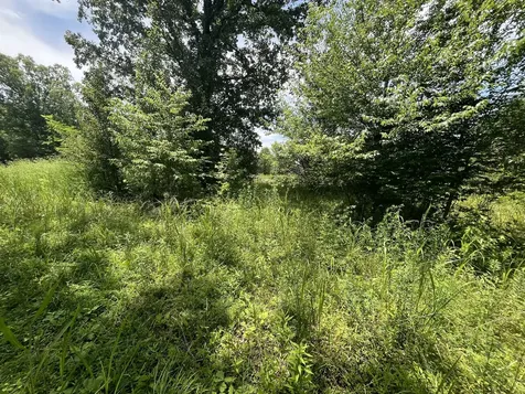 132 Lakewood Drive Beechgrove TN 37018