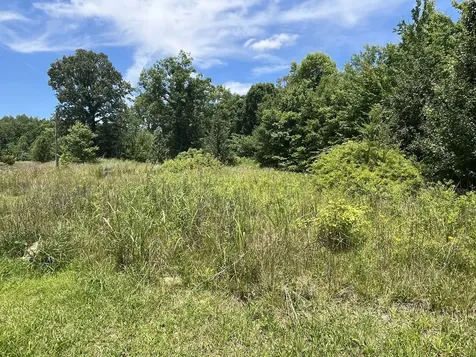 132 Lakewood Drive Beechgrove TN 37018