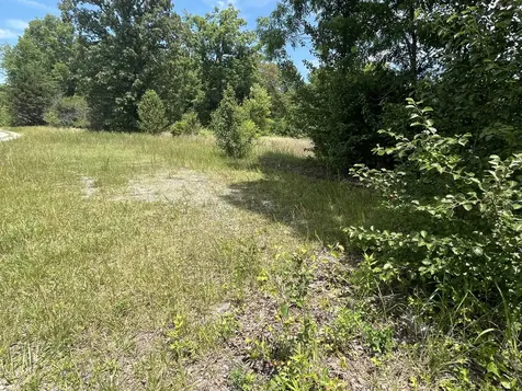 132 Lakewood Drive Beechgrove TN 37018