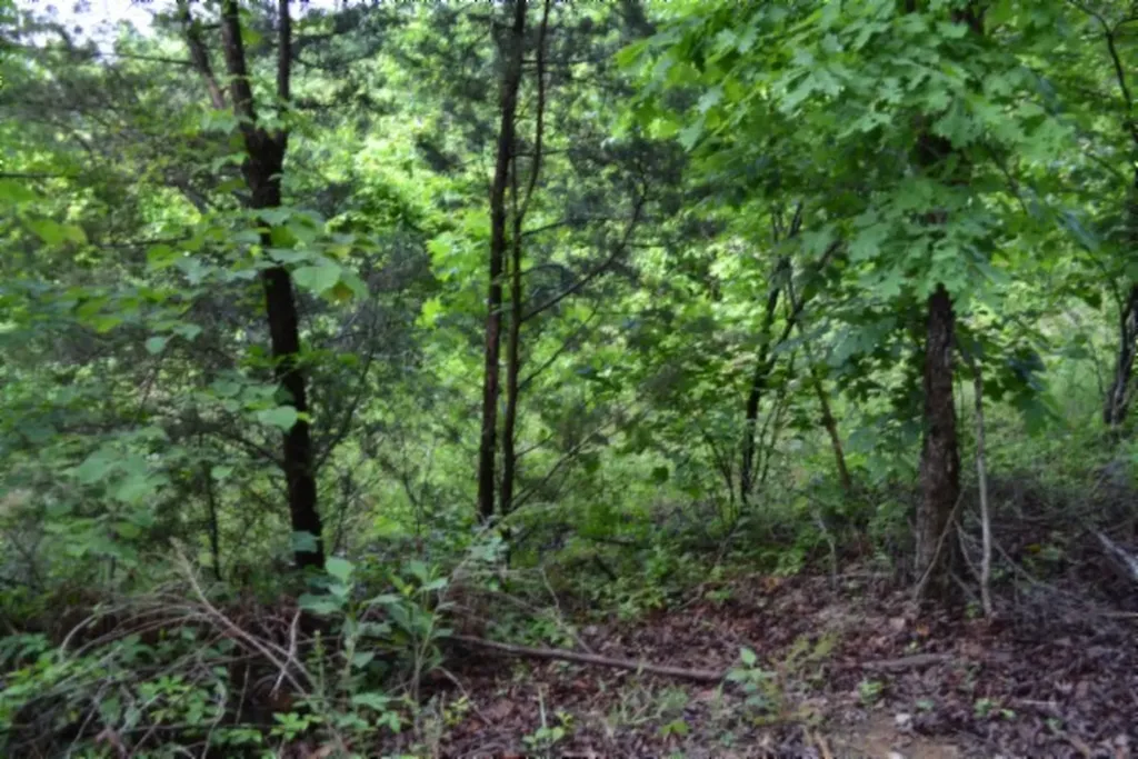 0 Beachamp Road Burkesville KY 42717