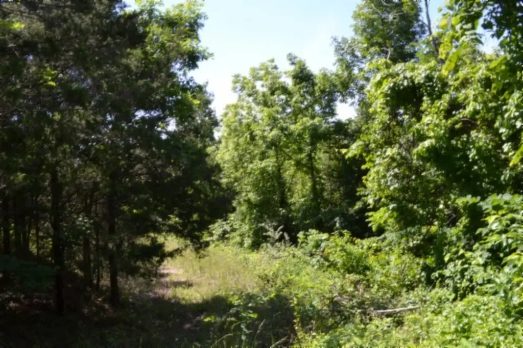 0 Beachamp Road Burkesville KY 42717
