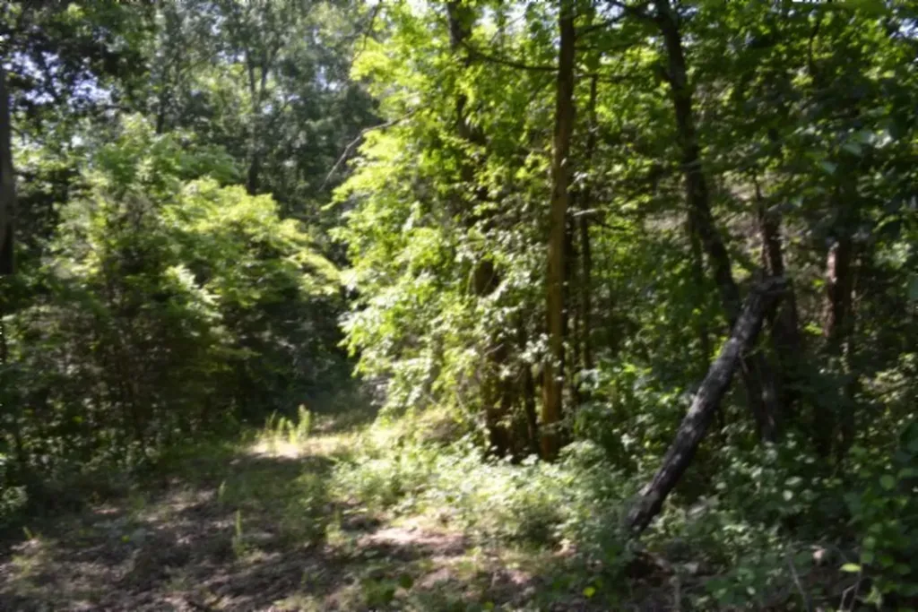 0 Beachamp Road Burkesville KY 42717
